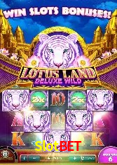 Benefícios da Conta Slotbet